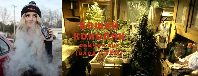 Бошки Шишки White Widow  купить  цена  Рассказово 